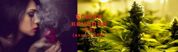 ГАЛЛЮЦИНОГЕННЫЕ ГРИБЫ Балабаново