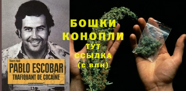 ГАЛЛЮЦИНОГЕННЫЕ ГРИБЫ Балабаново
